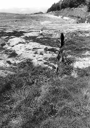 Cunicolo etrusco. Paliano, Roma.